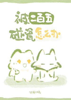 被二百五碰瓷怎么办