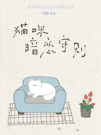 猫咪暗恋守则