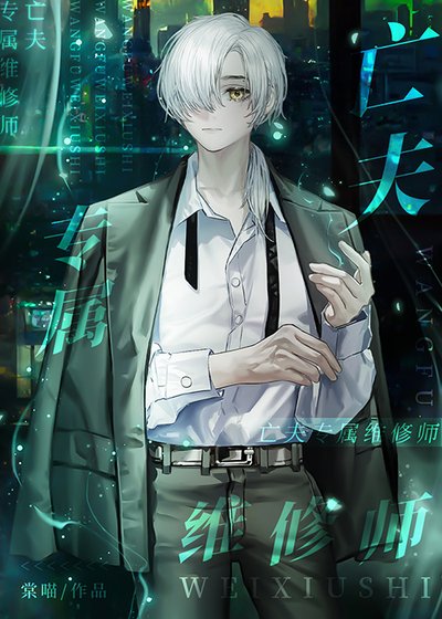 亡夫专属维修师