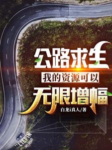 《公路求生:我的资源可以无限增幅》