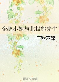 企鹅小姐与北极熊先生