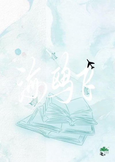 《海鸥飞》