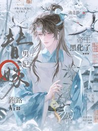 《替嫁男妃跑路后,帝王黑化了》