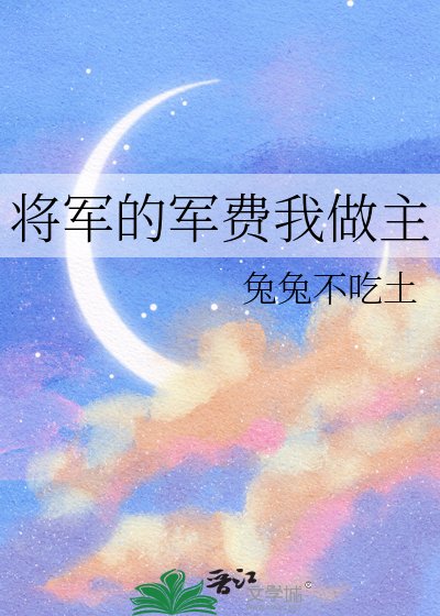 将军的军费我做主