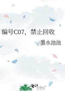 《编号C07,禁止回收》