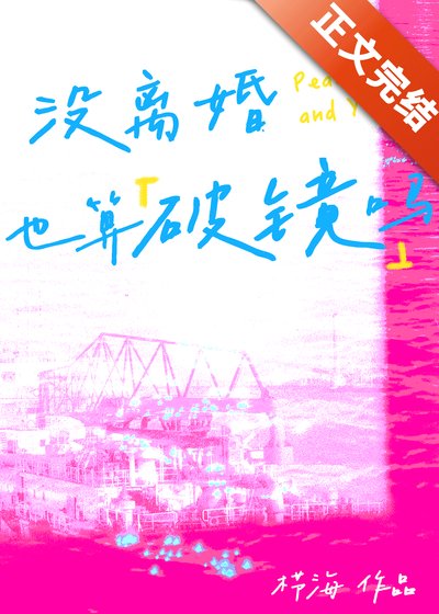没离婚也算破镜吗[娱乐圈]