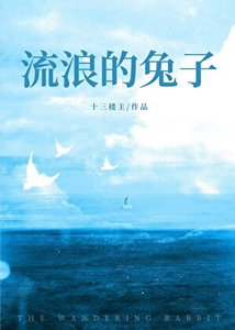 《流浪的兔子》