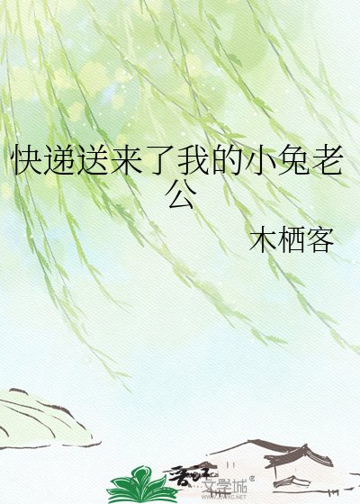 快递送来了我的小兔老公