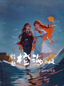 《跨越橙海的风》