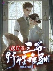 嫁权贵:三爷奉兴难驯