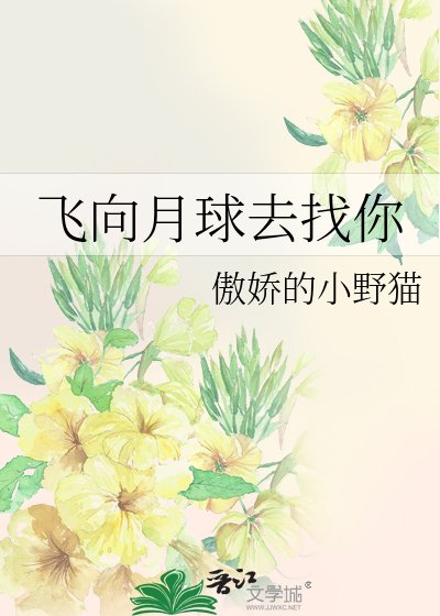 飞向月球去找你