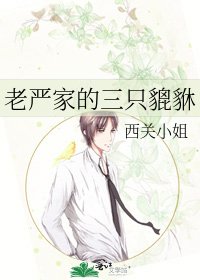 《老严家的三只貔貅》