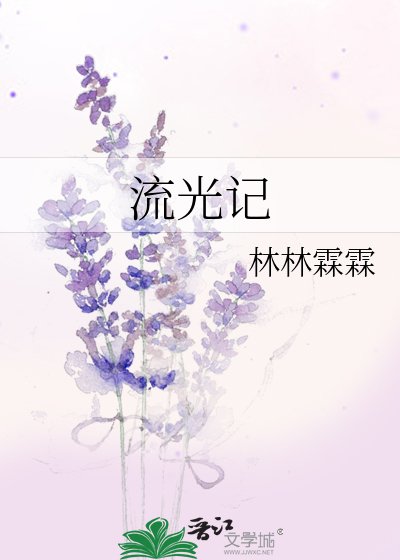 流光记