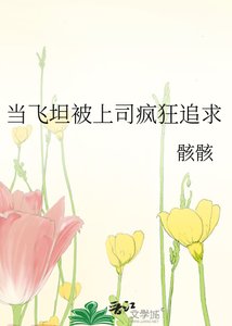 《当飞坦被上司疯狂追求》