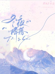 《在冬夜降落》