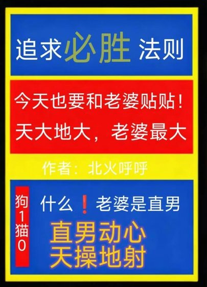 追求直男的必胜法则