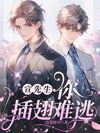 《宣先生,你插翅难逃》