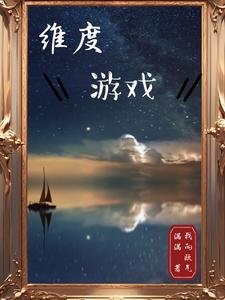 《维度游戏》
