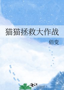 猫猫拯救大作战