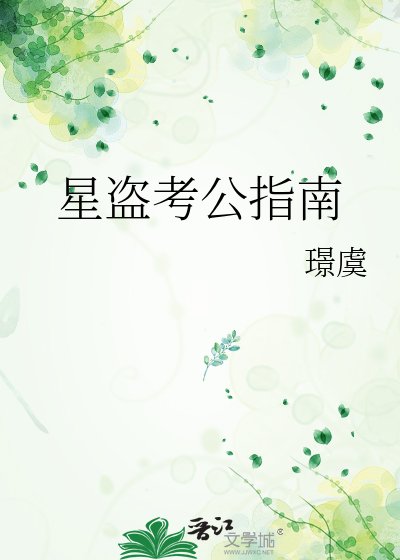 星盗考公指南