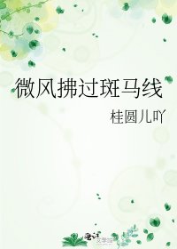 微风拂过斑马线