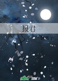 《报君》