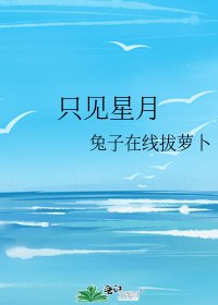 只见星月