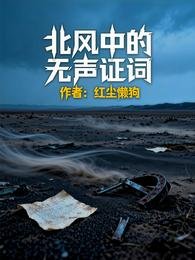 北风中的无声证词