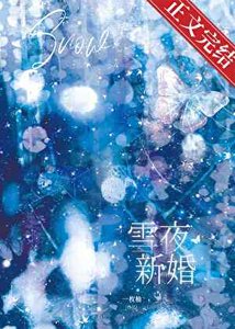 《雪夜新婚》