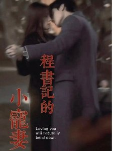 程书记的小宠妻