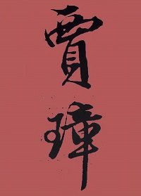 （红楼梦同人）[红楼]贾璋传