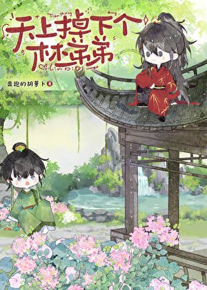 天上掉下个林弟弟[红楼]