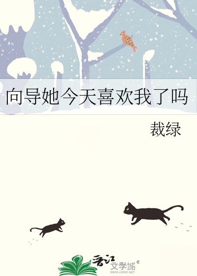 向导她今天喜欢我了吗
