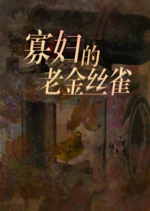 《寡妇的老金丝雀》
