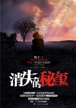 消失的秘玺