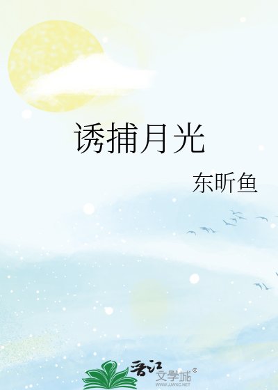 《诱捕月光》