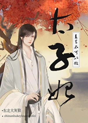 《直男不可以做太子妃!》