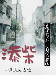 添柴