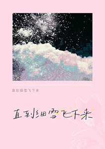 《直到细雪飞下来》