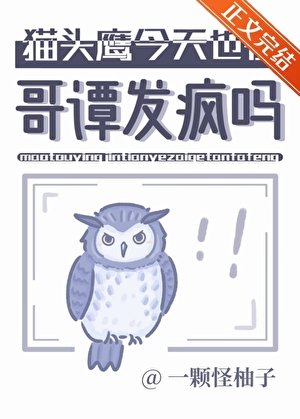 （综英美同人）猫头鹰今天也在哥谭发疯吗
