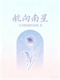 航向南星