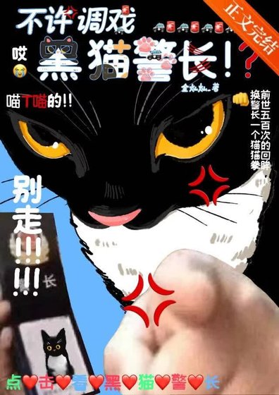 喂！不许调戏黑猫警长！
