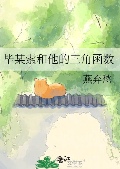毕某索和他的三角函数