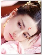 (与君歌同人)与君歌:狐狸陛下与兔子公主