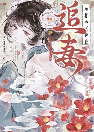《丞相今天也在追妻》