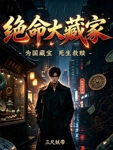 绝命大藏家/重生捡漏小狼肪,还盗个锤子墓