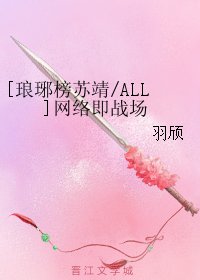 （BL/琅琊榜同人）[琅琊榜苏靖/ALL]网络即战场