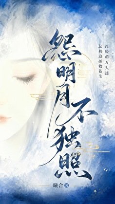 怨明月不独照