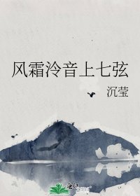 风霜泠音上七弦