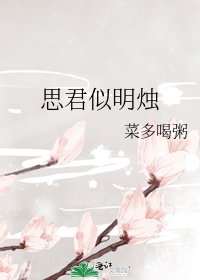 思君似明烛